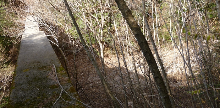 f:id:aw2q:20131223192318j:image