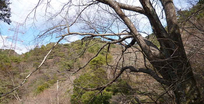 f:id:aw2q:20131223192319j:image