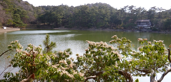 f:id:aw2q:20140310214421j:image