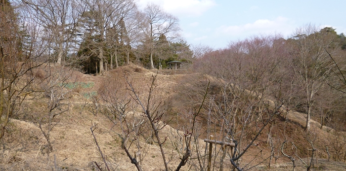 f:id:aw2q:20140310214422j:image