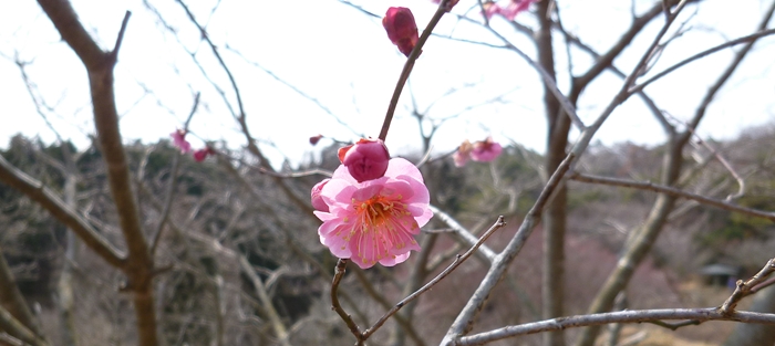 f:id:aw2q:20140310214426j:image
