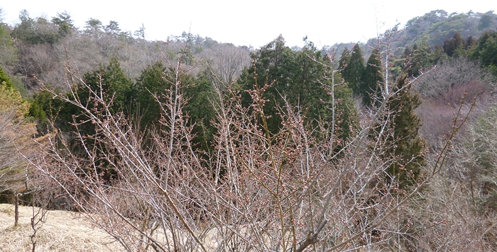 f:id:aw2q:20140310214427j:image