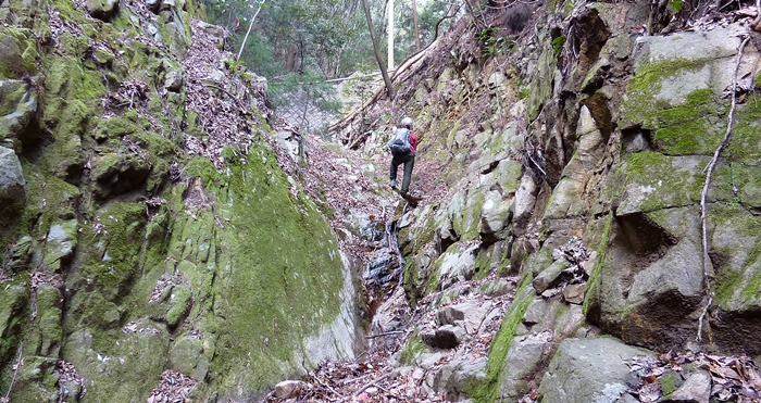 f:id:aw2q:20140315180613j:image
