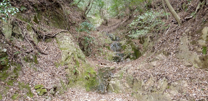 f:id:aw2q:20140315180617j:image
