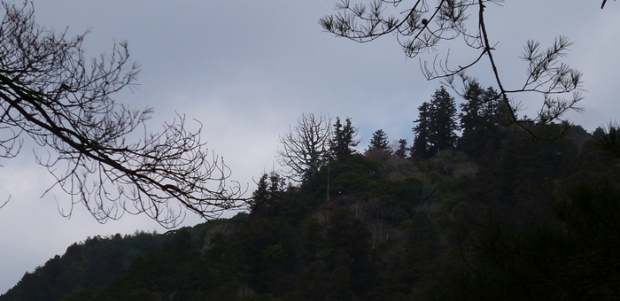 f:id:aw2q:20140315180727j:image