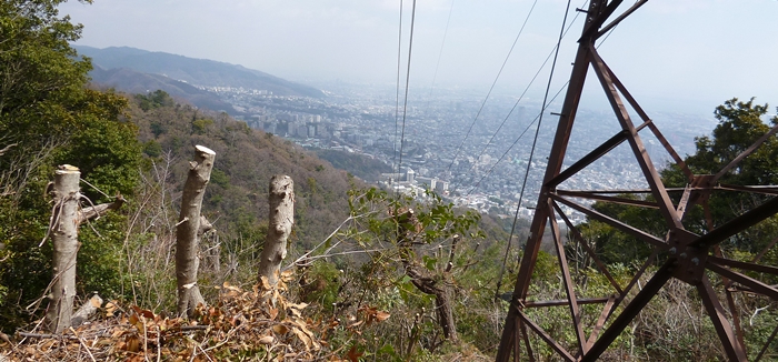 f:id:aw2q:20140315180728j:image
