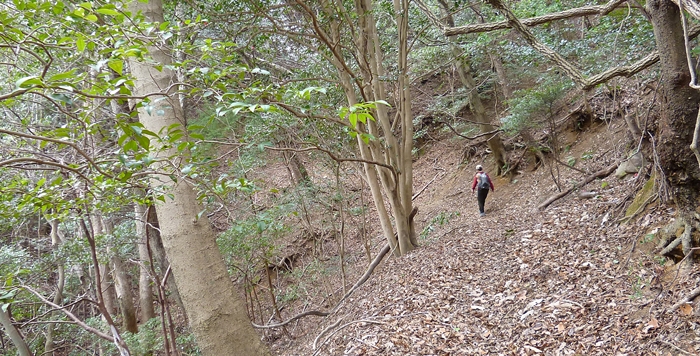 f:id:aw2q:20140315180735j:image