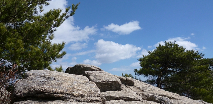 f:id:aw2q:20140323192336j:image