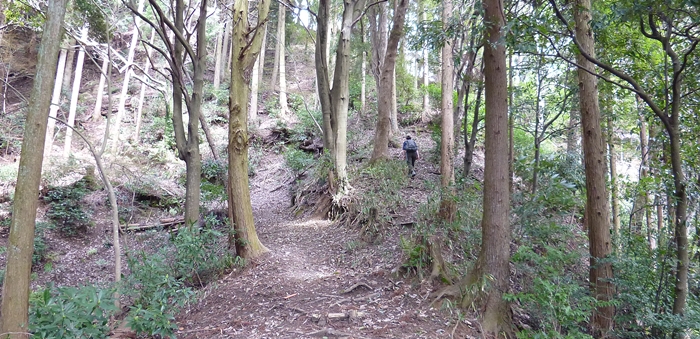 f:id:aw2q:20140329220808j:image