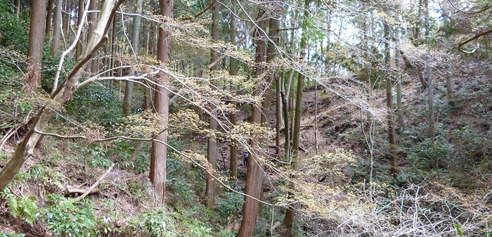 f:id:aw2q:20140329220810j:image