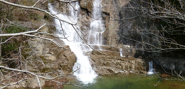 f:id:aw2q:20140329220814j:image