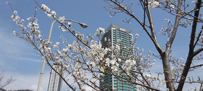 f:id:aw2q:20140329220816j:image