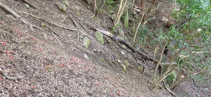 f:id:aw2q:20140329220957j:image