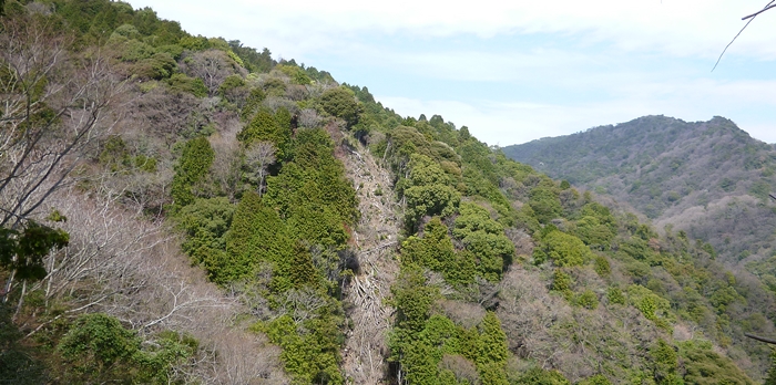 f:id:aw2q:20140329220958j:image