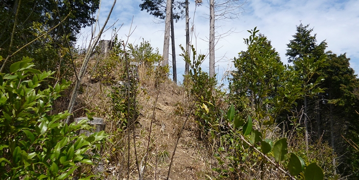 f:id:aw2q:20140329221000j:image