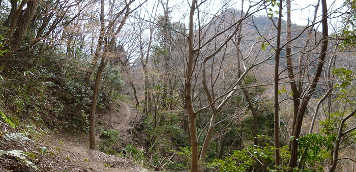 f:id:aw2q:20140329221125j:image