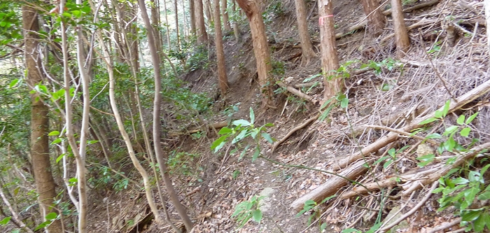 f:id:aw2q:20140329221127j:image