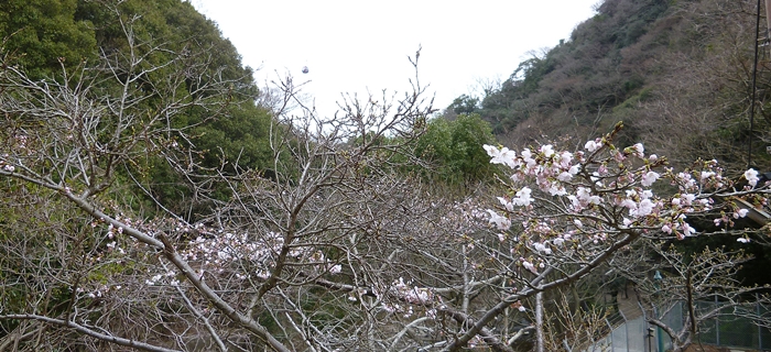 f:id:aw2q:20140329221222j:image