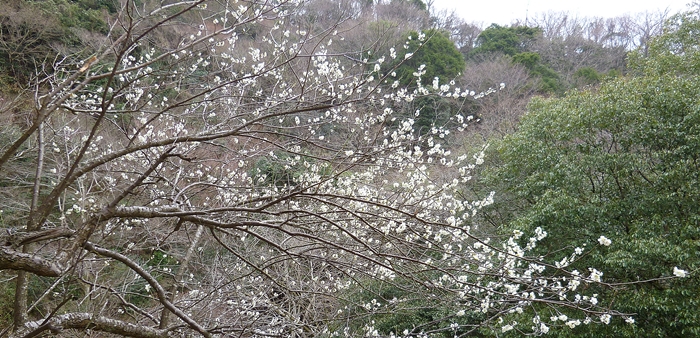 f:id:aw2q:20140329221223j:image