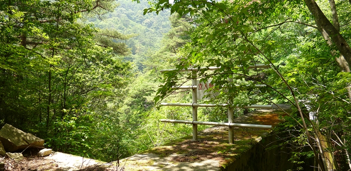 f:id:aw2q:20140601202440j:image