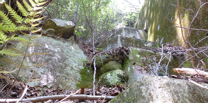 f:id:aw2q:20140601202441j:image