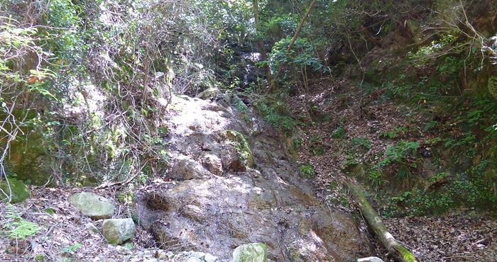 f:id:aw2q:20140601202446j:image