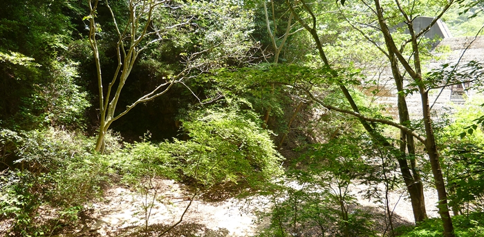 f:id:aw2q:20140601202447j:image