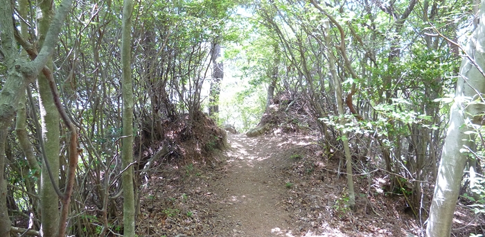 f:id:aw2q:20140601202534j:image