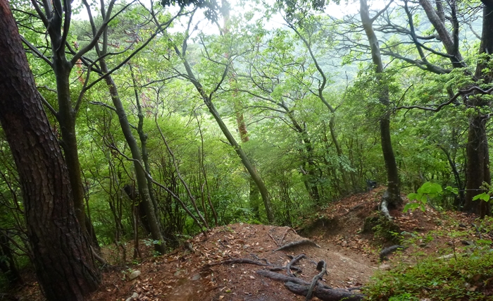 f:id:aw2q:20140607211346j:image