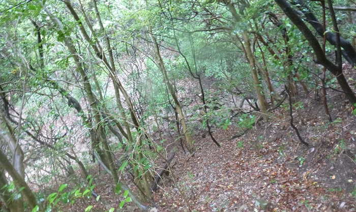 f:id:aw2q:20140607211350j:image