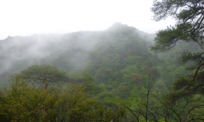 f:id:aw2q:20140607211351j:image