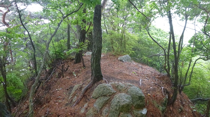 f:id:aw2q:20140607211352j:image