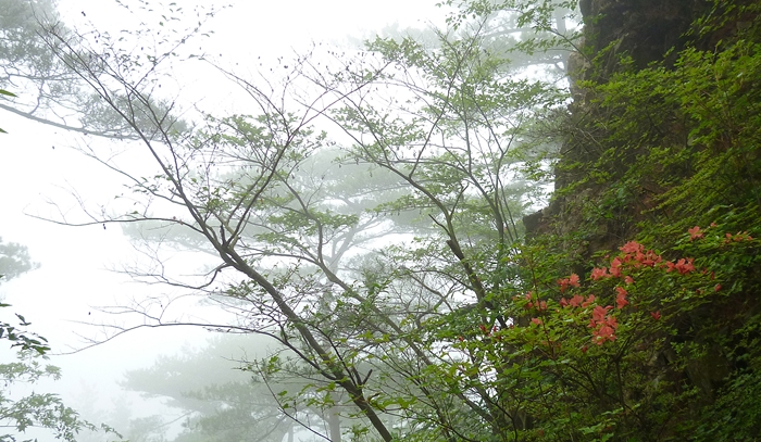 f:id:aw2q:20140607211353j:image