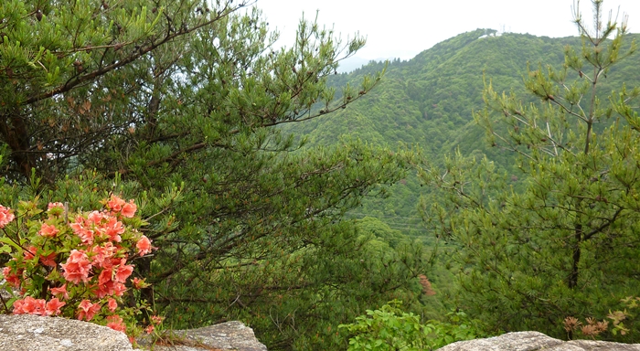 f:id:aw2q:20140609191021j:image