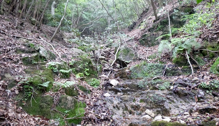 f:id:aw2q:20140610211307j:image