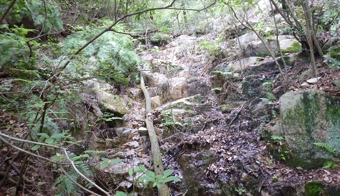 f:id:aw2q:20140610211308j:image