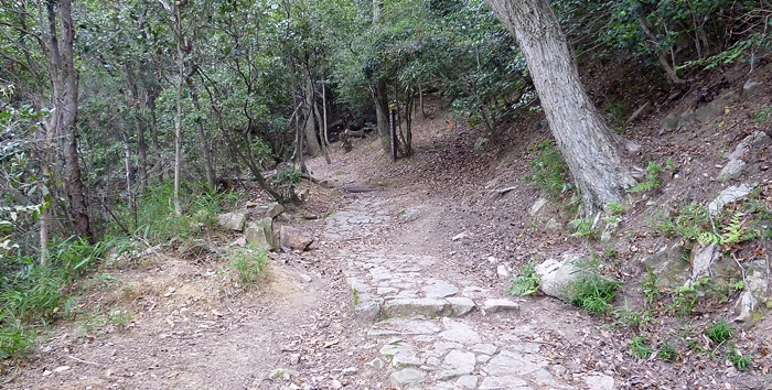 f:id:aw2q:20140622131854j:image