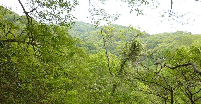 f:id:aw2q:20140622131902j:image