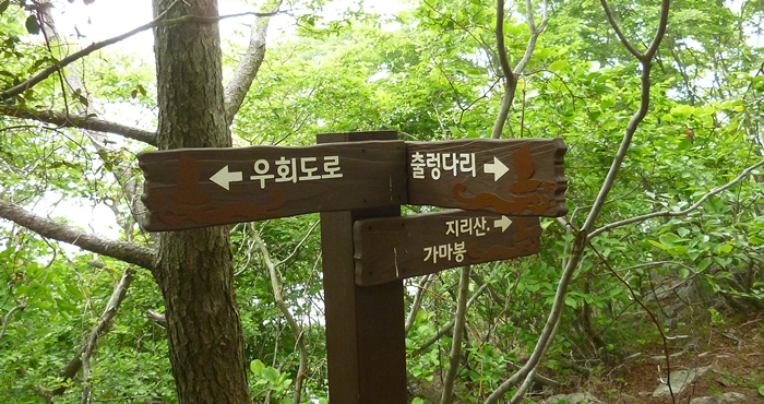 f:id:aw2q:20140626183748j:image