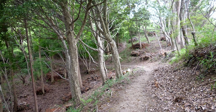 f:id:aw2q:20140629192202j:image