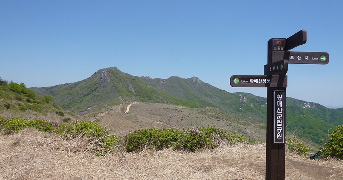 f:id:aw2q:20140707221021j:image
