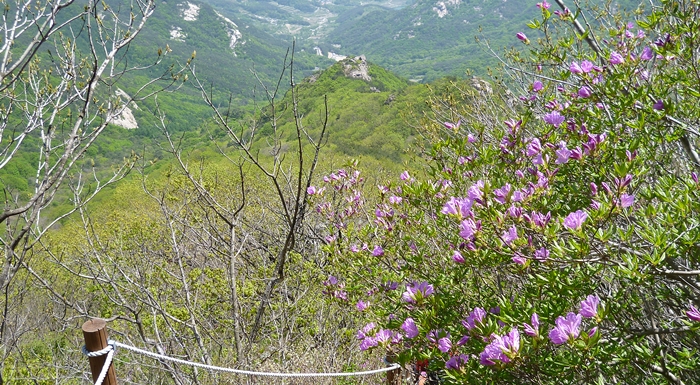 f:id:aw2q:20140707221159j:image