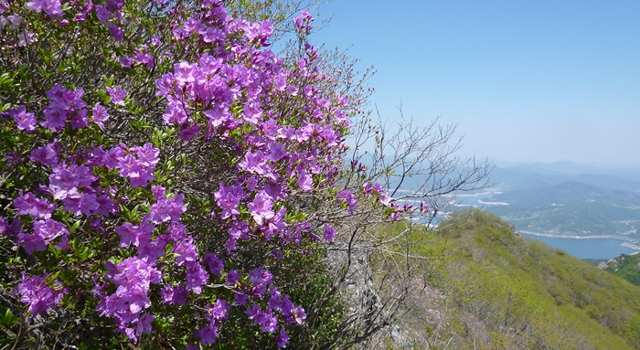 f:id:aw2q:20140707221200j:image