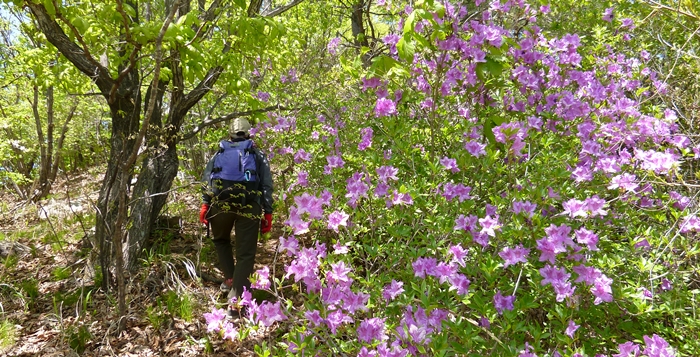 f:id:aw2q:20140708211929j:image