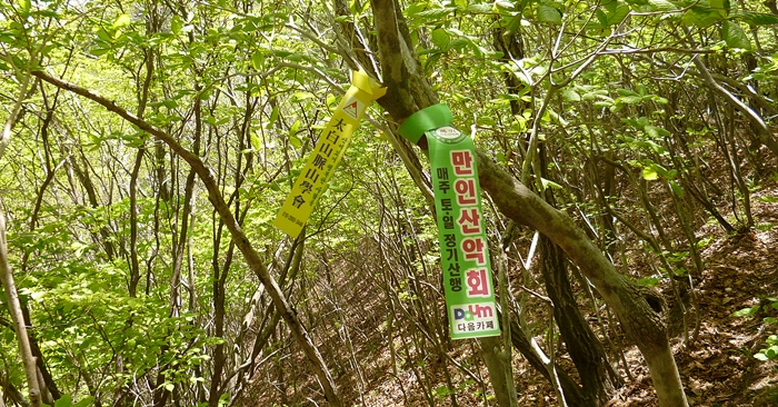 f:id:aw2q:20140708211935j:image