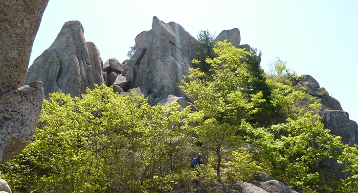 f:id:aw2q:20140708211937j:image