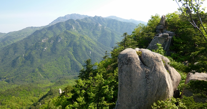 f:id:aw2q:20140709213545j:image