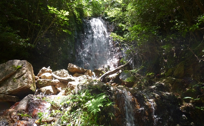 f:id:aw2q:20140712201615j:image