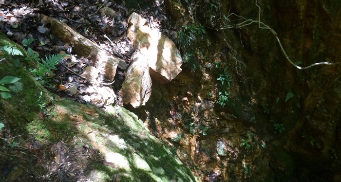 f:id:aw2q:20140712201617j:image
