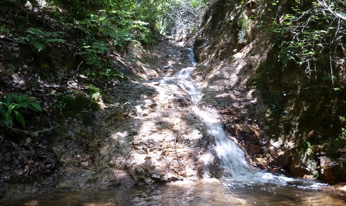 f:id:aw2q:20140712201619j:image